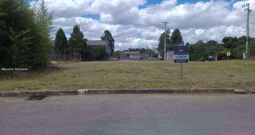 Terreno para venda em são bento do sul, boehmerwald