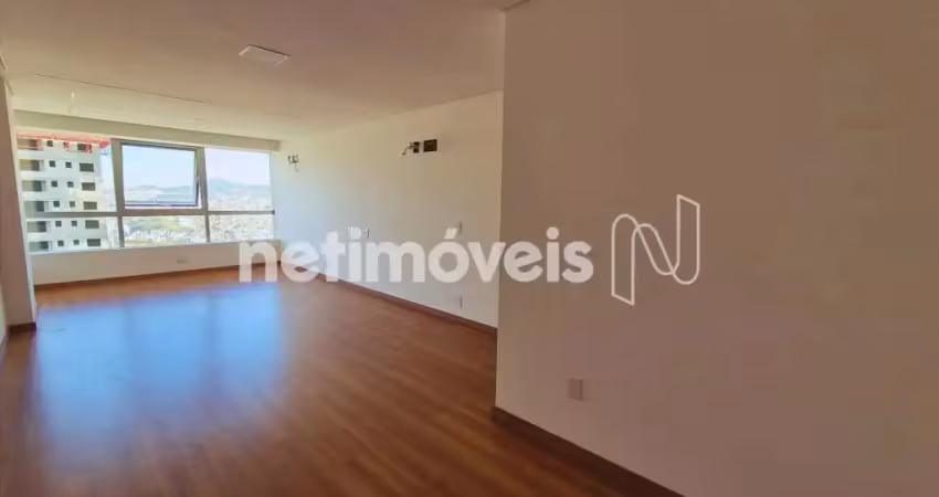 Sala comercial com 1 sala para alugar na Avenida Raja Gabaglia, Estoril, Belo Horizonte