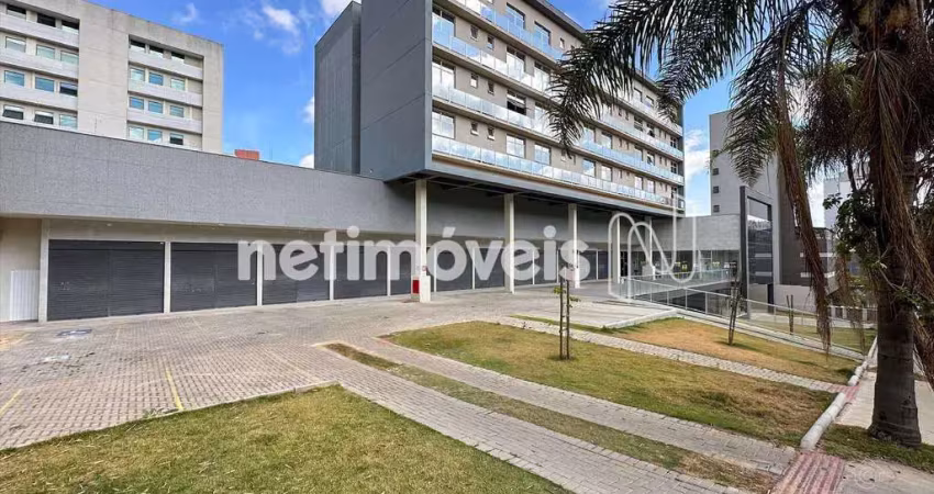 Apartamento com 1 quarto para alugar na Rua Senador Lima Guimarães, 178, Estoril, Belo Horizonte