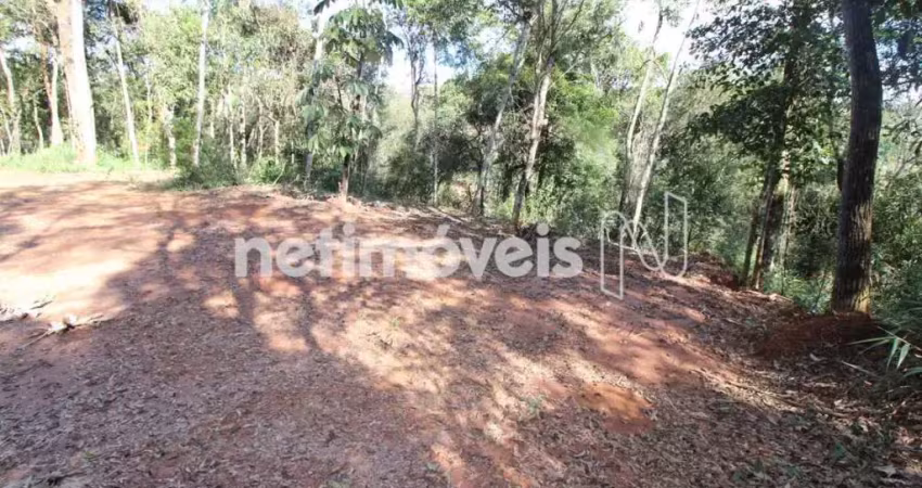 Terreno em condomínio fechado à venda na Alameda do Paraíso, Green Park, Nova Lima