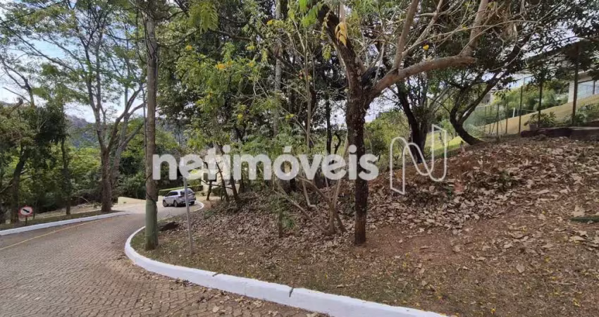 Terreno em condomínio fechado à venda na Vila Alpina, Nova Lima 