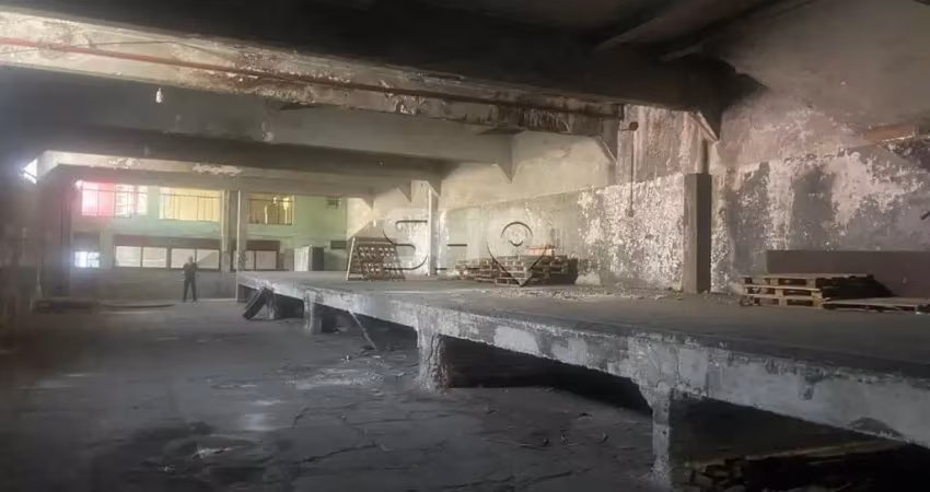 Barracão / Galpão / Depósito para alugar na Rua Doze de Setembro, 914, Vila Guilherme, São Paulo