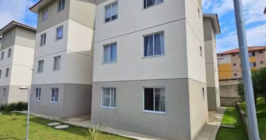 Apartamento para venda em são josé dos pinhais, colônia rio grande, 2 dormitórios, 1 banheiro, 1 vaga