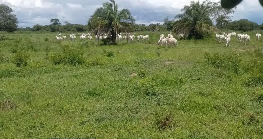 Fazenda à venda na Avenida Sebastião J. Santos, Zona Rural, Aruanã