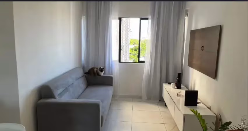Apartamento com 2 quartos para alugar na Rua Amália Bernardino de Sousa, Boa Viagem, Recife