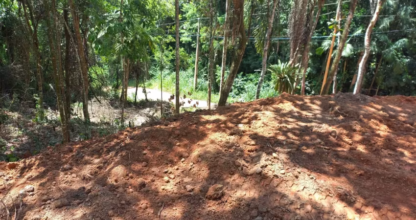 Área para sítio em aguas mornas sc - 5000 m2 - compra e venda desde 2011 e ótimo preço