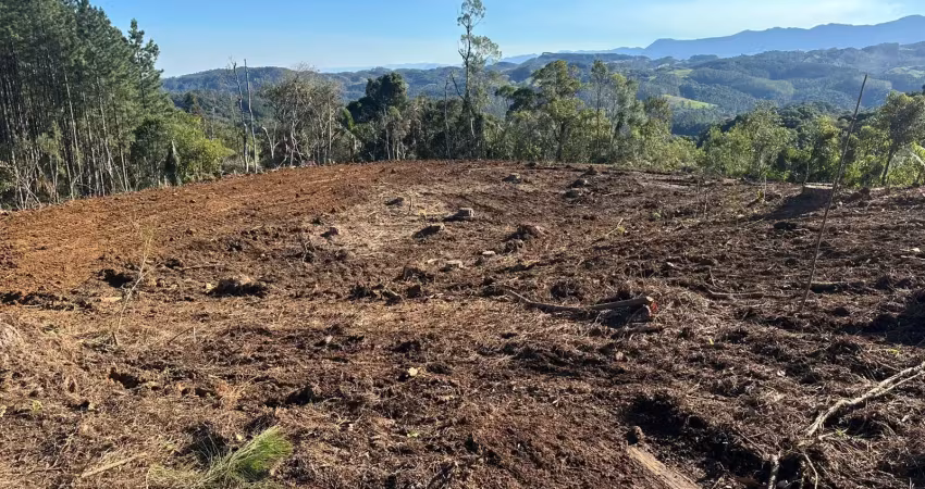 Vendo área para sítio em anitapolis - sc prox. do centro e c 2 hectares escriturados