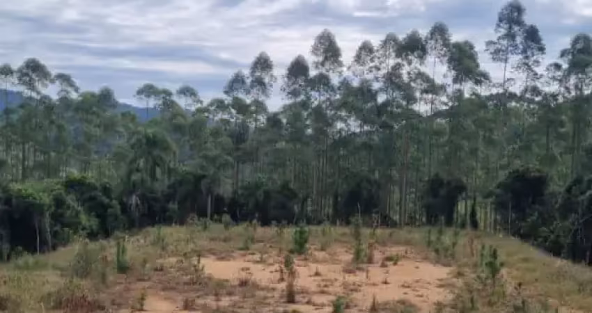 Excelente propriedade em são pedro de alcântara - invernada  4 hectares (em  de desmembramento)