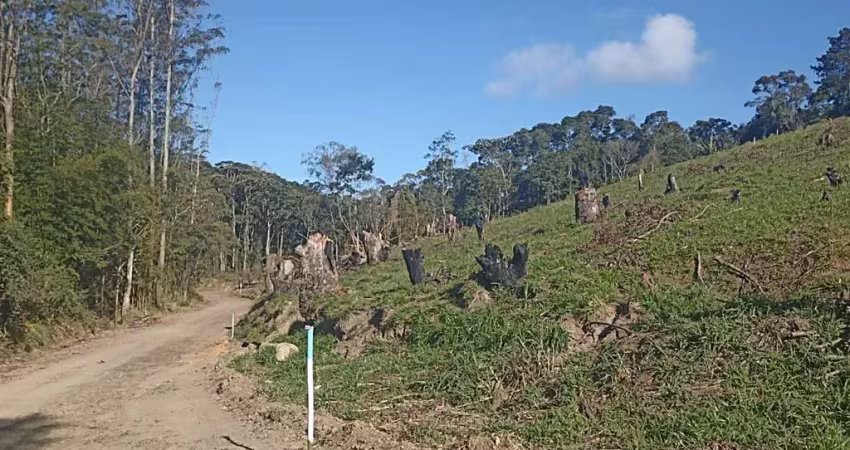 Terreno à venda no Taiacupeba, Mogi das Cruzes 