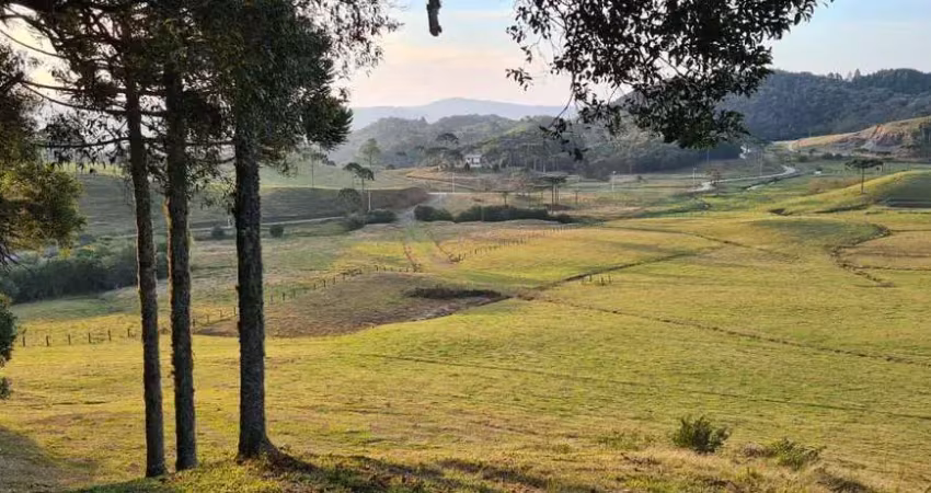 Terreno à venda na Rua Vargedo, s/n, Vargedo, Rancho Queimado