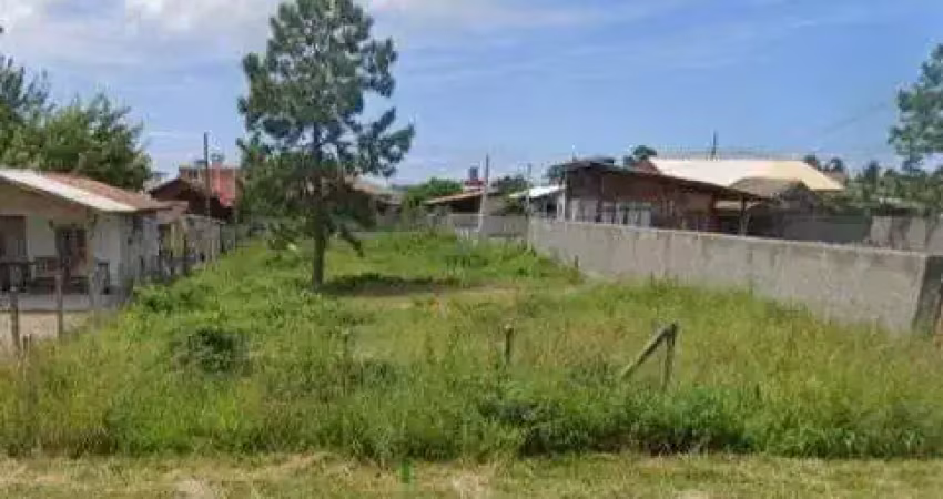 Terreno à venda na Rodovia Evádio Paulo Broering, s/n, Pinheira, Palhoça