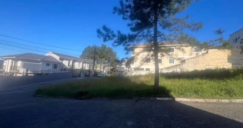 Terreno à venda na Rua Zigomar Georgina de Souza Silva, 1, Areias, São José