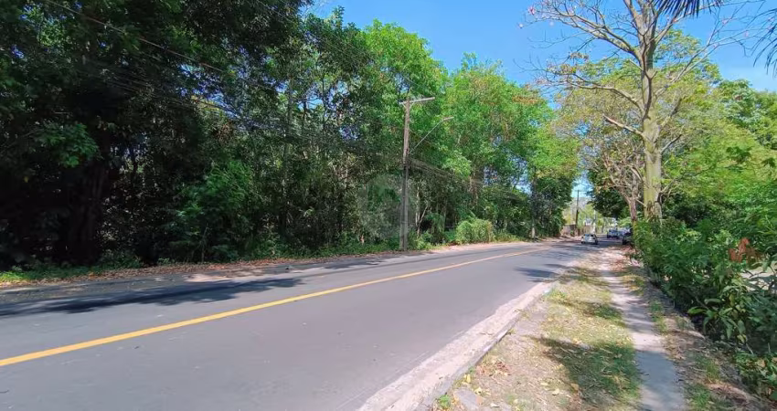 Terreno a venda no bairro Novo Aleixo, Manaus