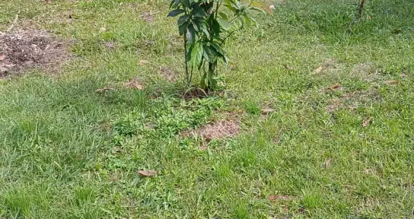 Lindo sitio em vale das pedrinhas - guapimirim - rio de janeiro, terra legalizada pelo incra