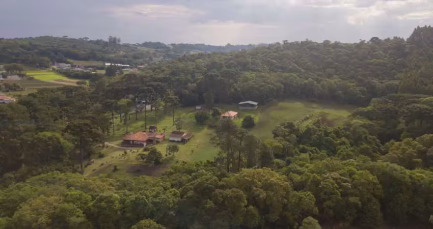 Chácara / sítio com 4 quartos à venda na Rua Comendador Orlando Ceccon, Ribeirão das Onças, Colombo