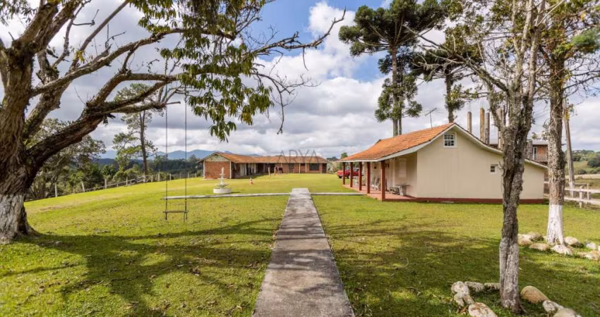 Terreno comercial à venda na Rua Basílio Lecheta, Planta Laranjeiras, Piraquara