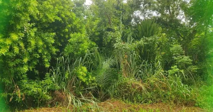 Lote/terreno para venda com 1500 metros quadrados em itacimirim - camaçari - ba