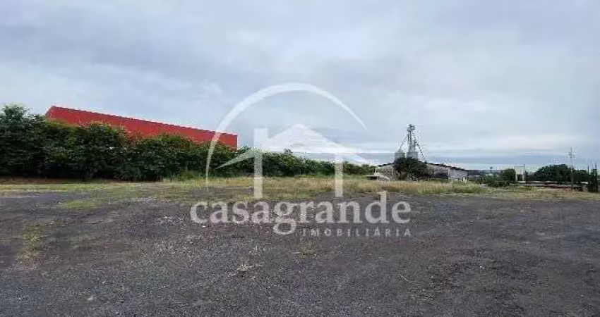 Barracão / Galpão / Depósito com 4 salas para alugar na Rua Will Cargill, 1, Distrito Industrial, Uberlândia