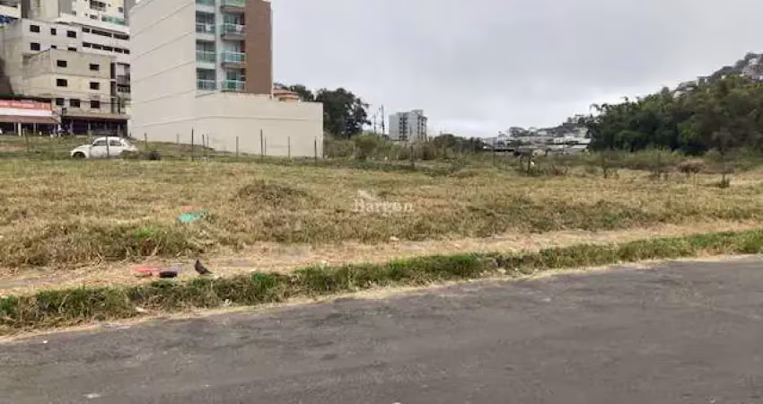 Terreno plano com 1.000 metros quadrados a venda no bairro são pedro em juiz de fora