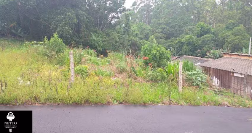 Terreno à venda no Jardim Montevidéu, Criciúma 