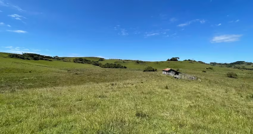 Fazenda à venda na Zona Rural, Caxias do Sul 