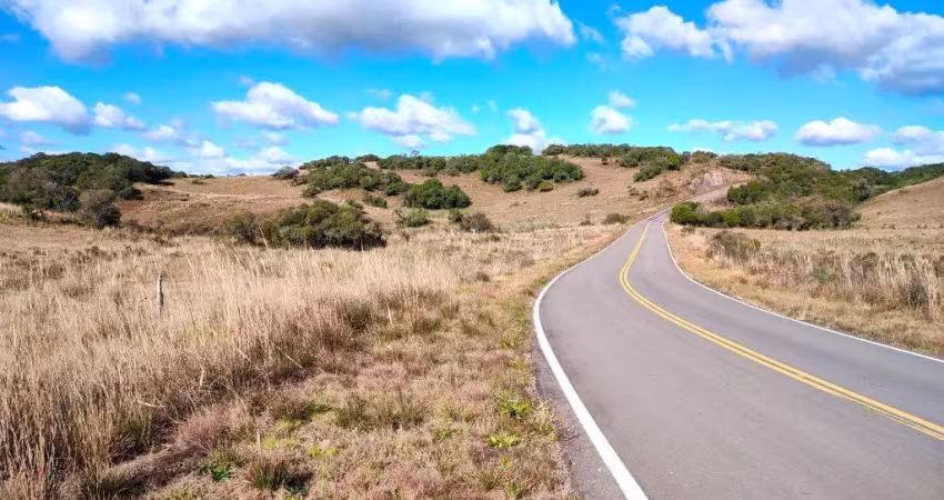 Chácara / sítio à venda em Criúva, Caxias do Sul 