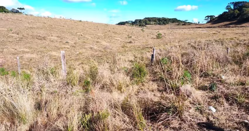 Chácara / sítio à venda em Criúva, Caxias do Sul 