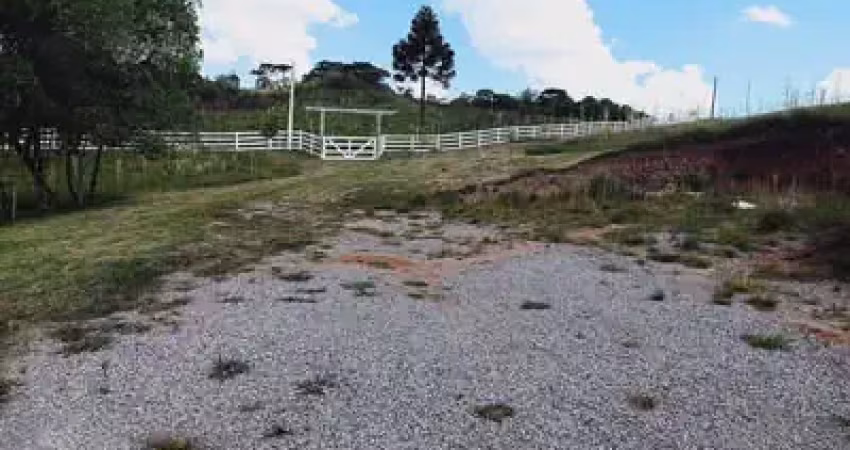Chácara / sítio à venda em Criúva, Caxias do Sul 