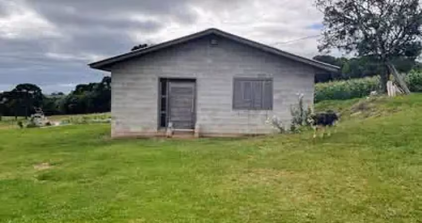 Chácara / sítio com 3 quartos à venda na Vila Seca, Caxias do Sul 