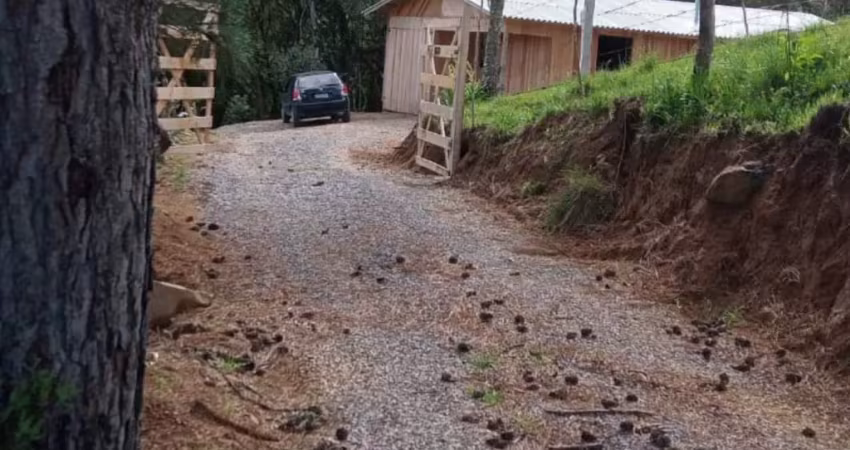 Chácara / sítio à venda na Zona Rural, Caxias do Sul 
