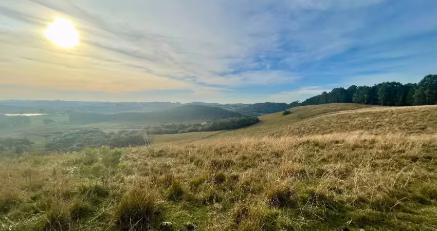 Chácara / sítio à venda na Vila Seca, Caxias do Sul 