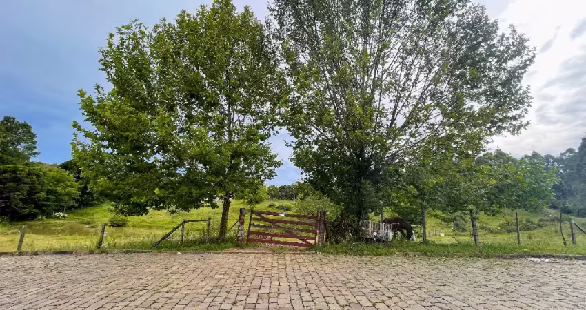 Chácara / sítio à venda no Santo Antônio, Caxias do Sul 