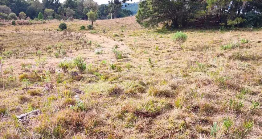 Chácara / sítio à venda na Zona Rural, São Francisco de Paula 