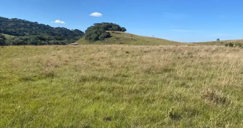 Chácara / sítio à venda na Zona Rural, Caxias do Sul 