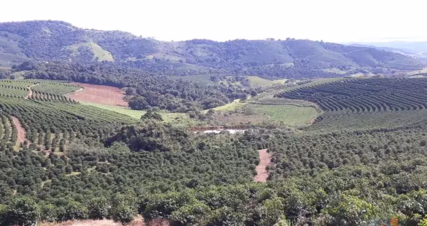 Fazenda à venda no Centro, Ouro Fino 