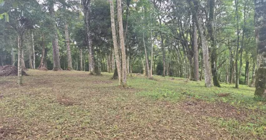 Terreno à venda na Estrada Particular s/n, São Caetano, Balsa Nova