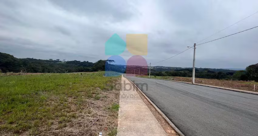 Terreno à venda na Rua Paulo BIanco,02, Botiatuva, Campo Largo