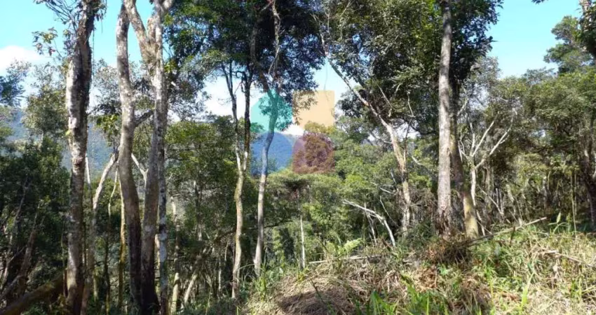 Chácara / sítio à venda na Estrada da Faxina/ Taquaral, Taquaral, Campo Largo