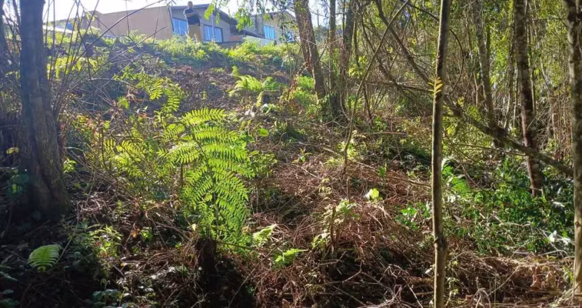 Terreno para venda em campo largo, conjunto habitacional monsenhor francisco gorski