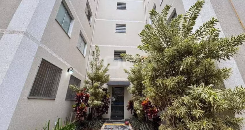 Apartamento com 2 quartos para alugar na Travessa Francisco Latorre Primo, 12, Parque Santa Felícia Jardim, São Carlos