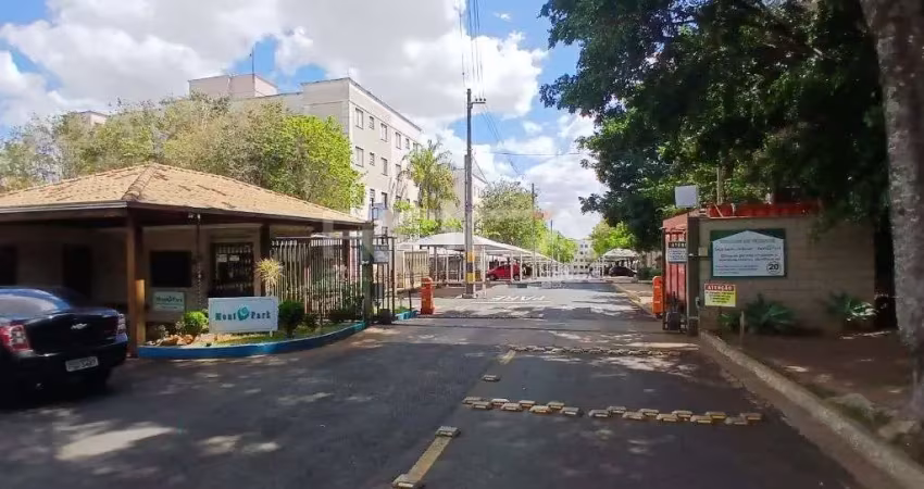 Apartamento padrão para alugar em são carlos, jardim jóckei club a