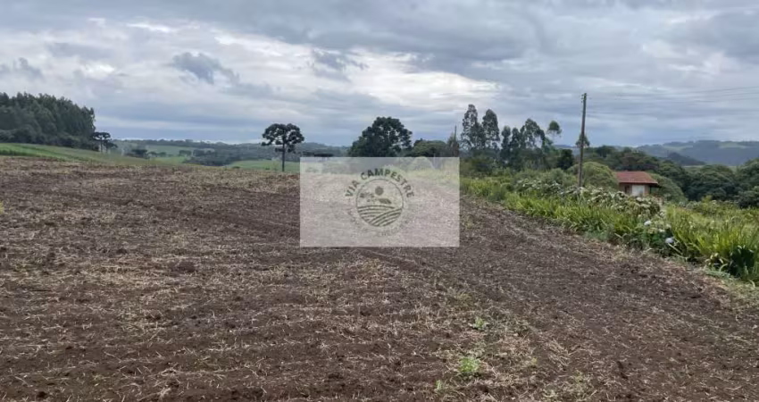 Sítio com 48.000 m², todo limpo, ótimo para plantação, analisa permuta parcial