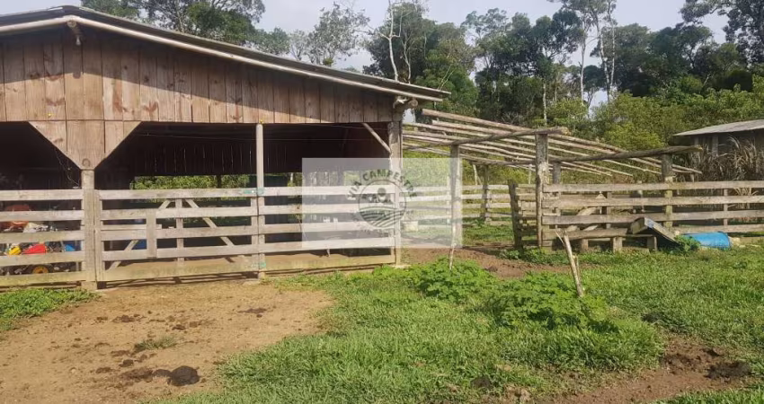 Sítio com 59.800 m2, com residência, nascente, horta