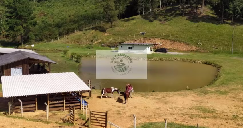 Sítio com 48.000 m², dois lagos, residência, ranchos, lindas araucárias, na Estrada Laranjeiras, aceita permuta