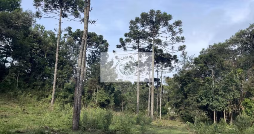 Sítio com 30.000 m², com nascente e riacho, próximo ao Sitio Cambará