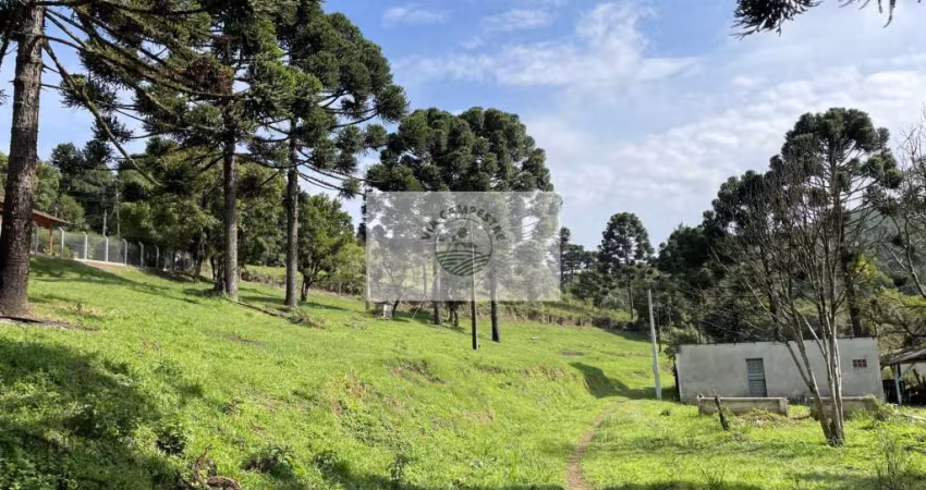 Sítio com 6.245,00 m², belas araucárias, lugar alto, com uma casa para reformar, documentado