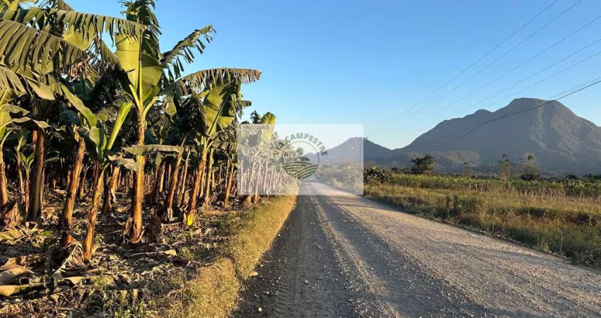 Sítios apartir de 20.000 m², Estrada do Pico, todos planos, escriturados, com lindas vistas, são 7 unidades
