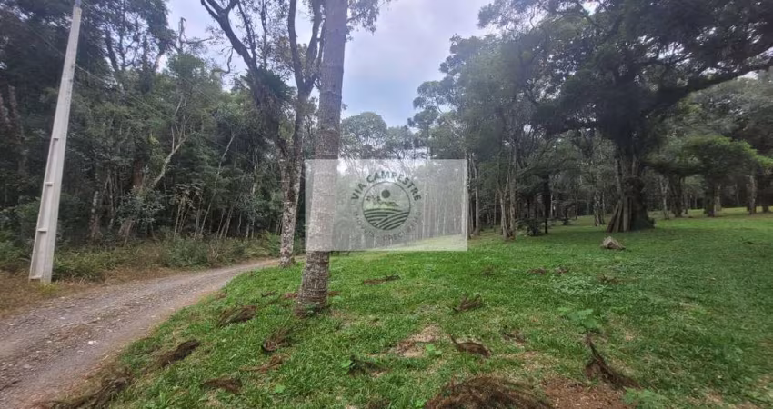 Sítio com 14.000 m², escriturado, com lago, nascente, araucárias