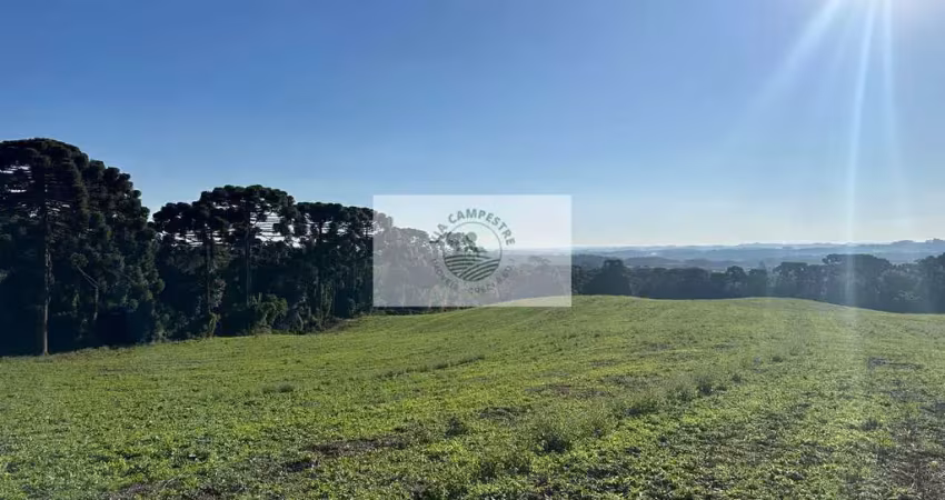 Area rural com 45 hectares,  escriturada, atrás do condominio trilha dos carroções