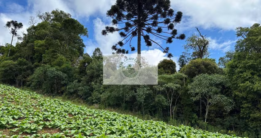 Sítio com 3.200 m², em Campo Alegre, região do Salto, IMOVEL ESCRITURADO